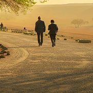 доступне будівництво каркасного будинку в області з терасою