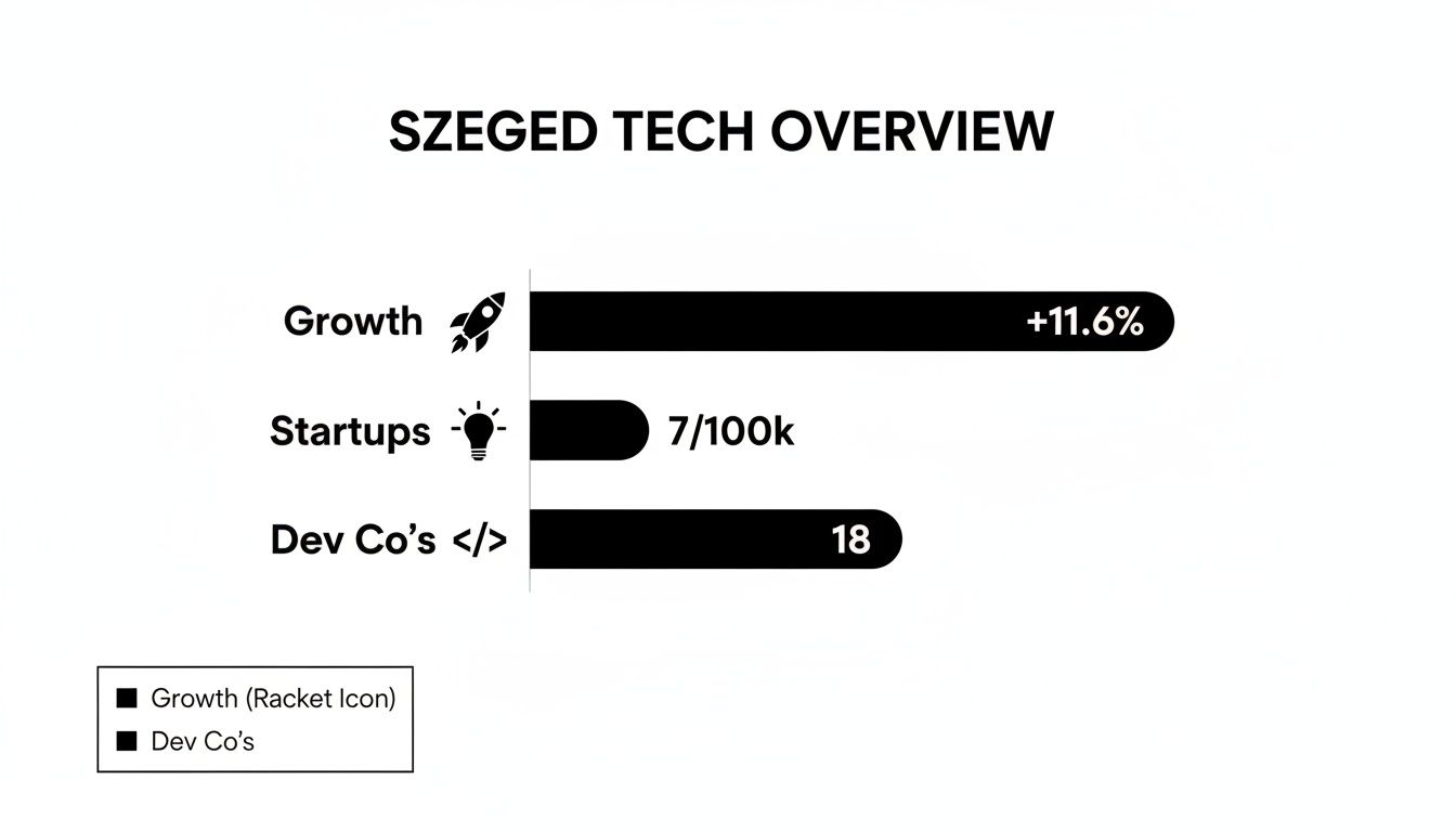 Infographic detailing Szeged's tech overview, showing growth at 11.6%, 7 startups per 100k, and 18 dev companies.
