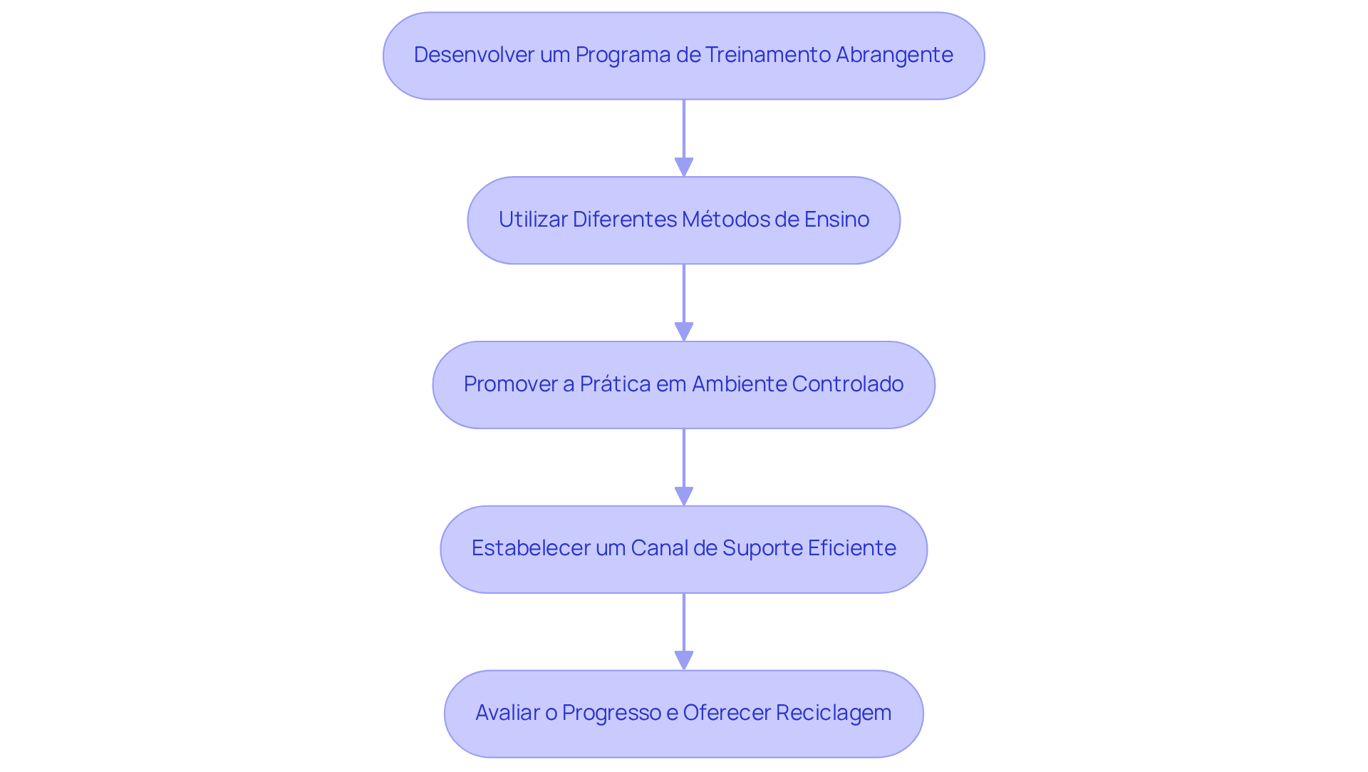 Cada caixa representa uma etapa no processo de capacitação - siga as setas para entender como cada diretriz se relaciona e contribui para o sucesso da implementação do software.