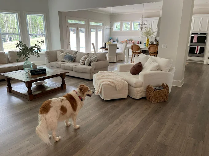 Cleaning service in perkiomen