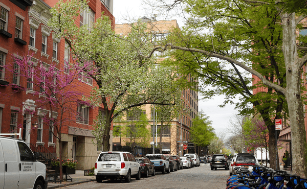 Urban street with spring trees and parked cars in a quiet neighborhood