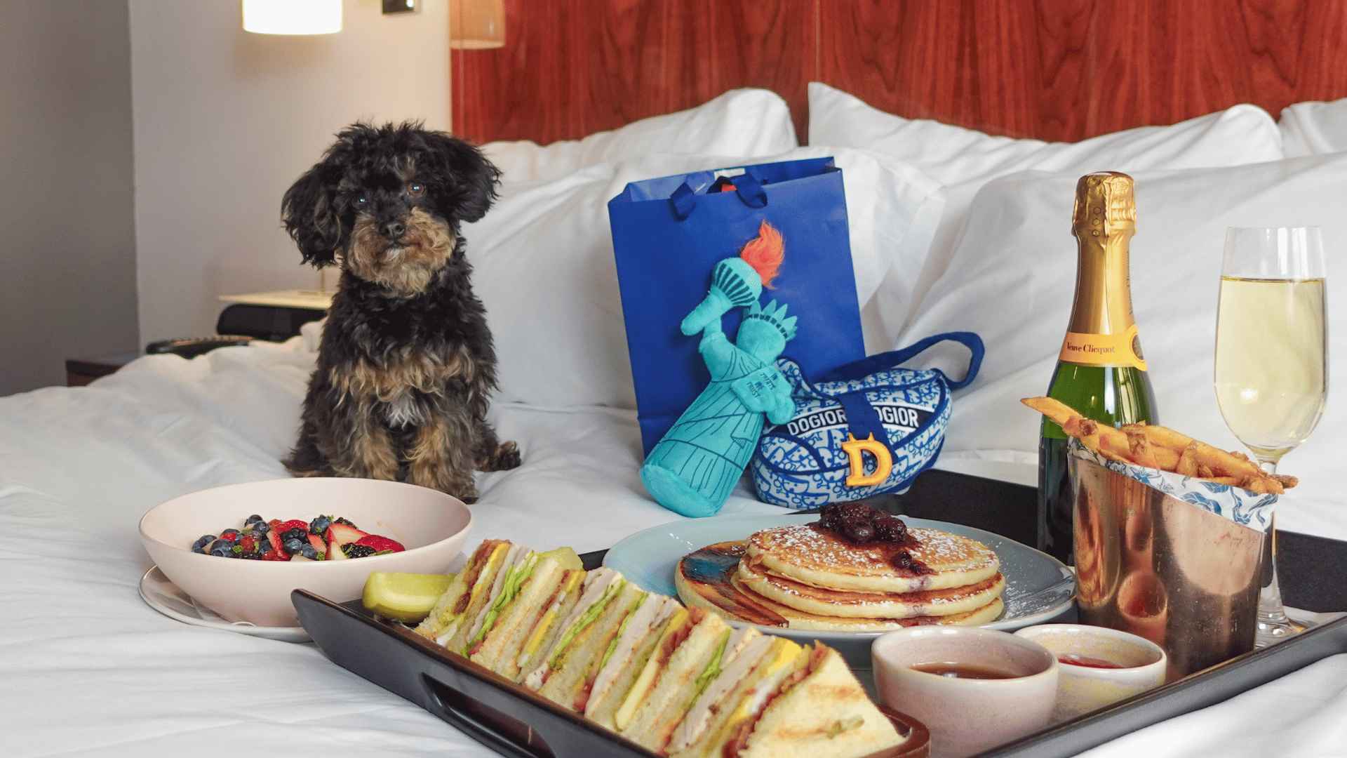 A well-groomed dog sits on a luxurious hotel bed next to a champagne flute during a pet-friendly stay at Hotel Hugo Soho.