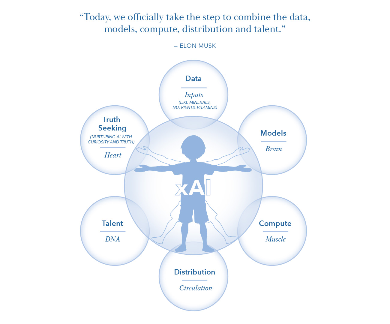 A diagram depicting XAi as a vitruvian child learning about data, models, compute, talent, truth seeking