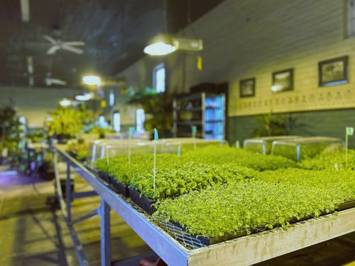 Romantic Gardens – Casa Loma