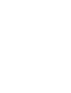 Dirona Logo