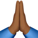 Folded hands emoji in brown skin tone, representing prayer or gratitude