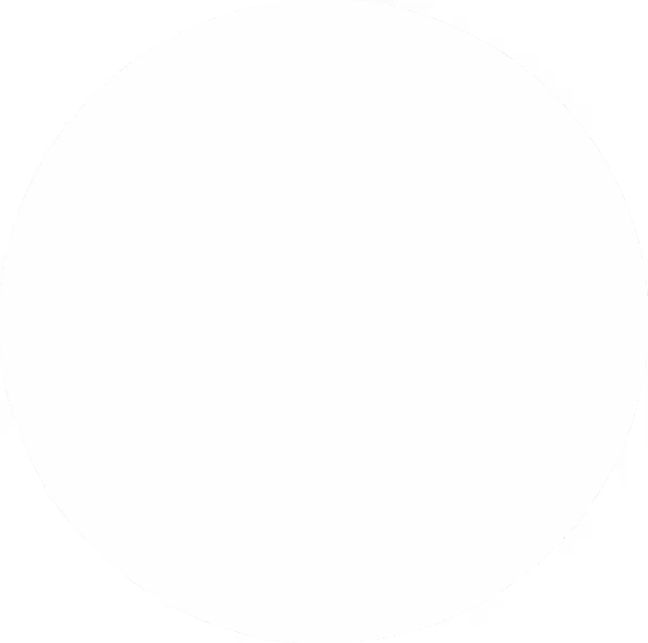 Blank white image with no discernible content or features