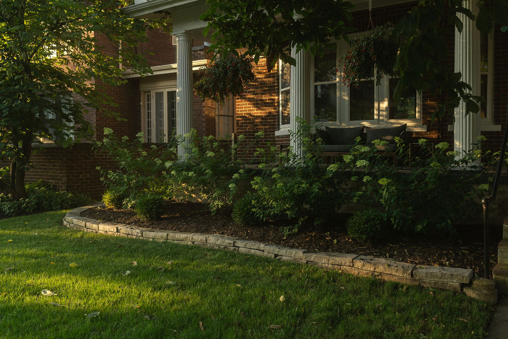 A photograph of Mark's garden