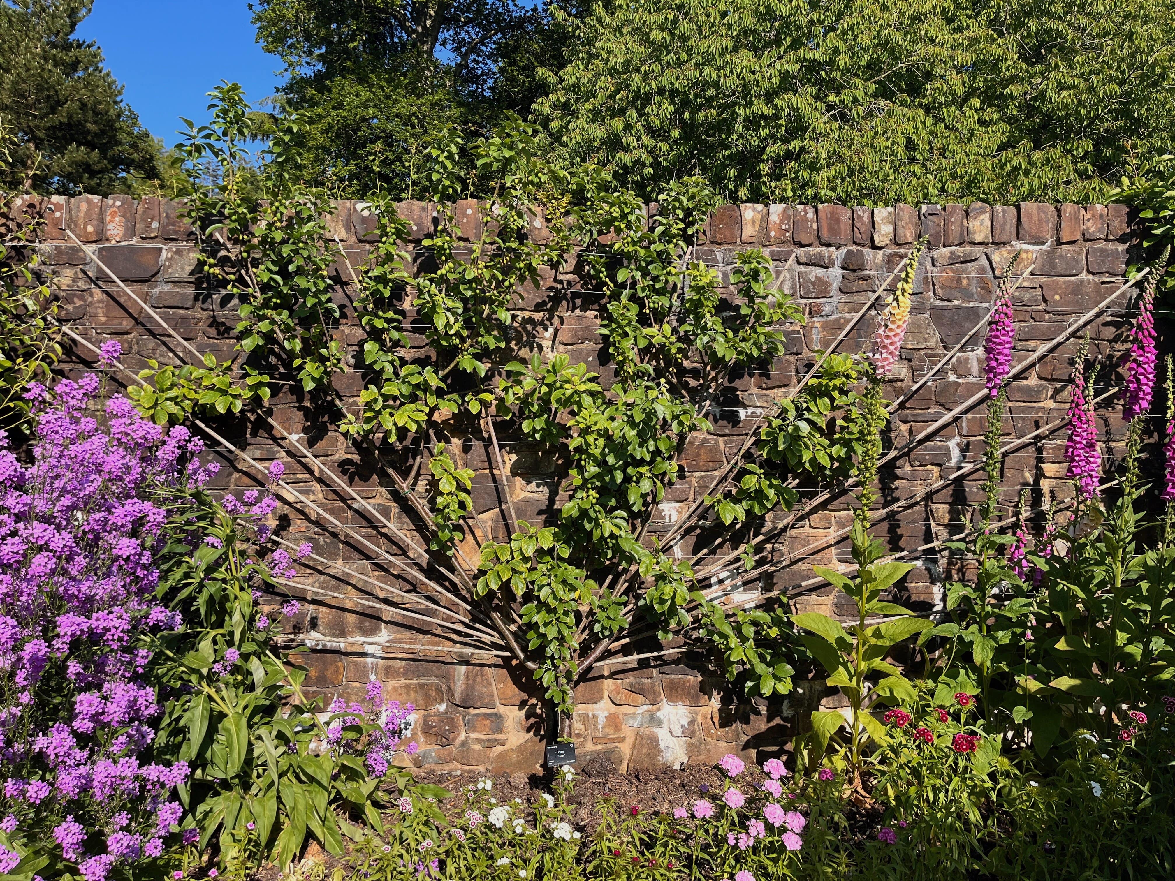 A photograph from Mark's trip to Rosmoore Gardens