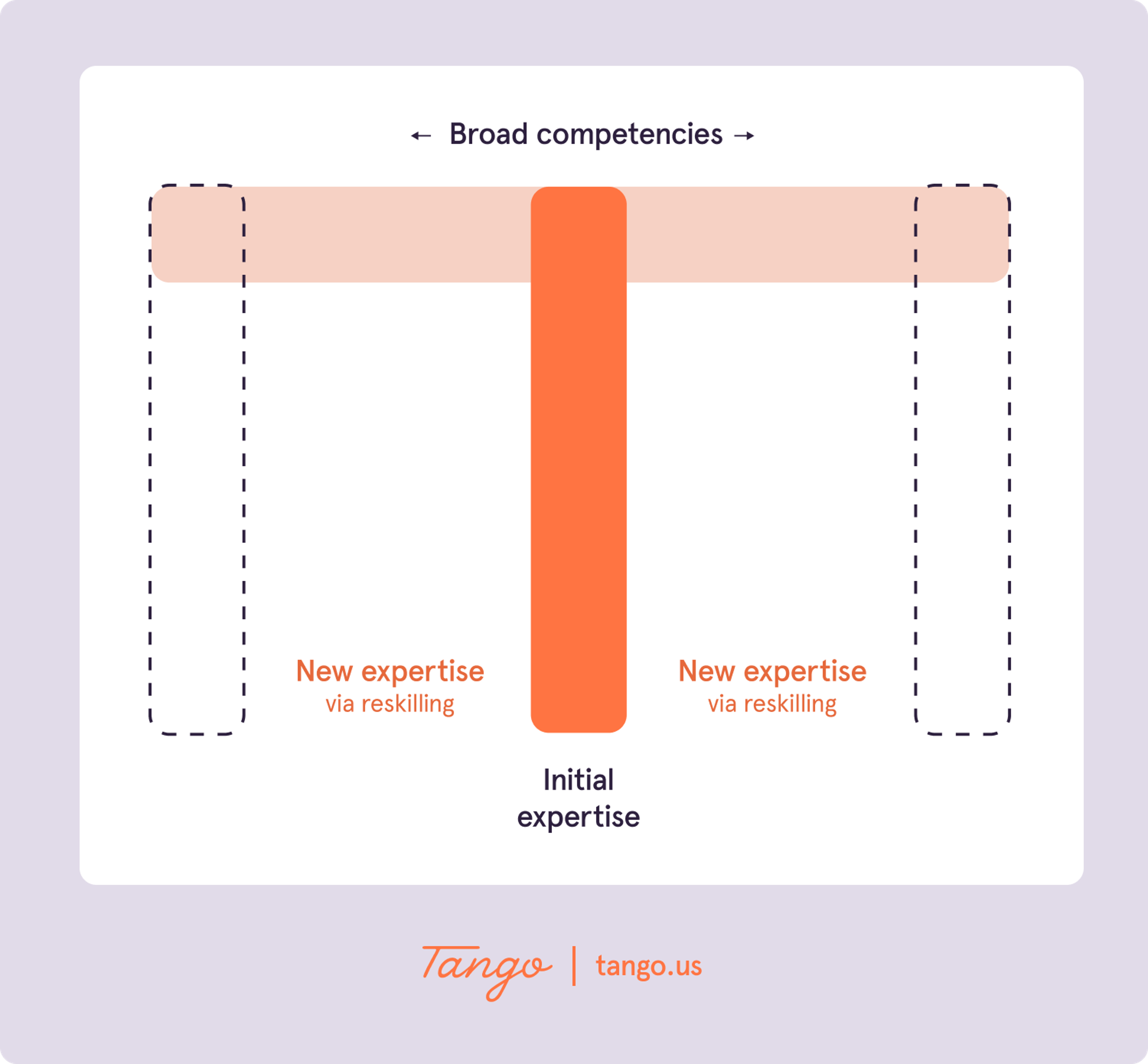 An M-shaped knowledge profile, acquired through reskilling.