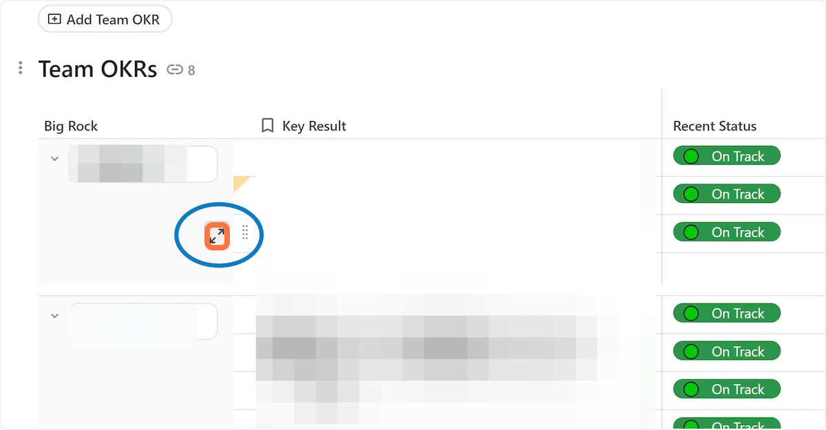 Click on "Expand Row" of your KR