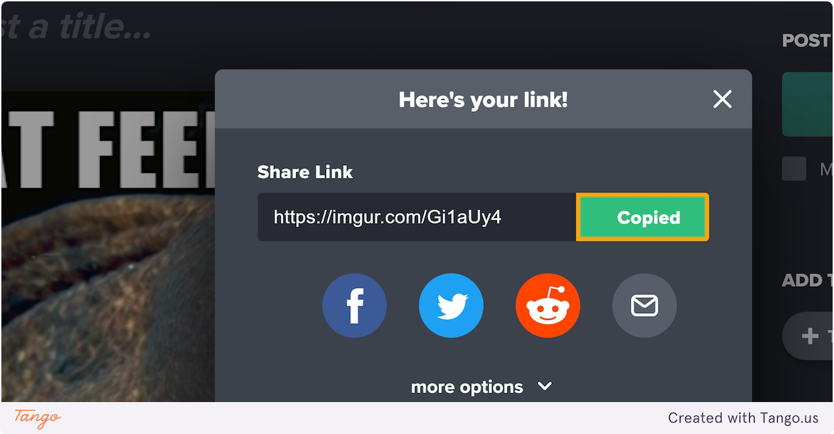 Copy your Link!