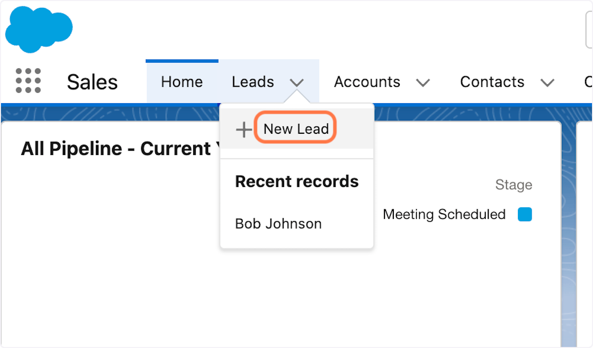 Click on New Lead