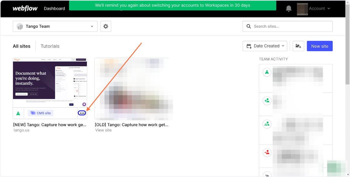 Click on the 3 dots for more project options