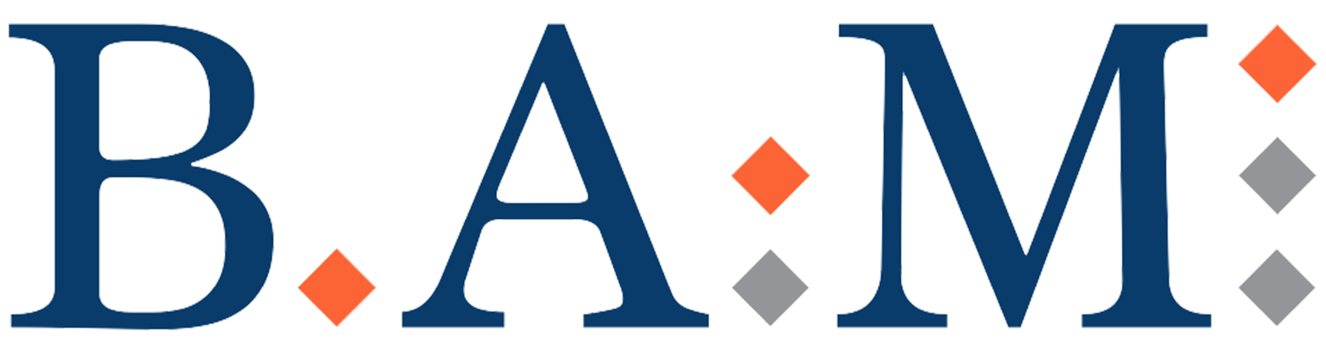 BAM logo