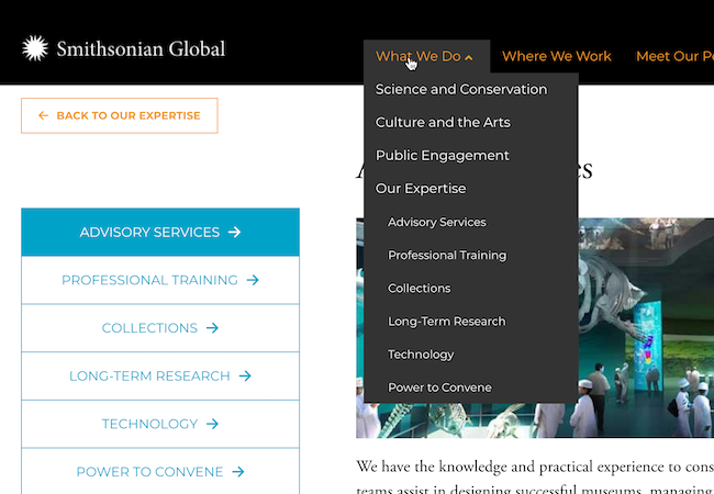 Scientist working with scientific research software