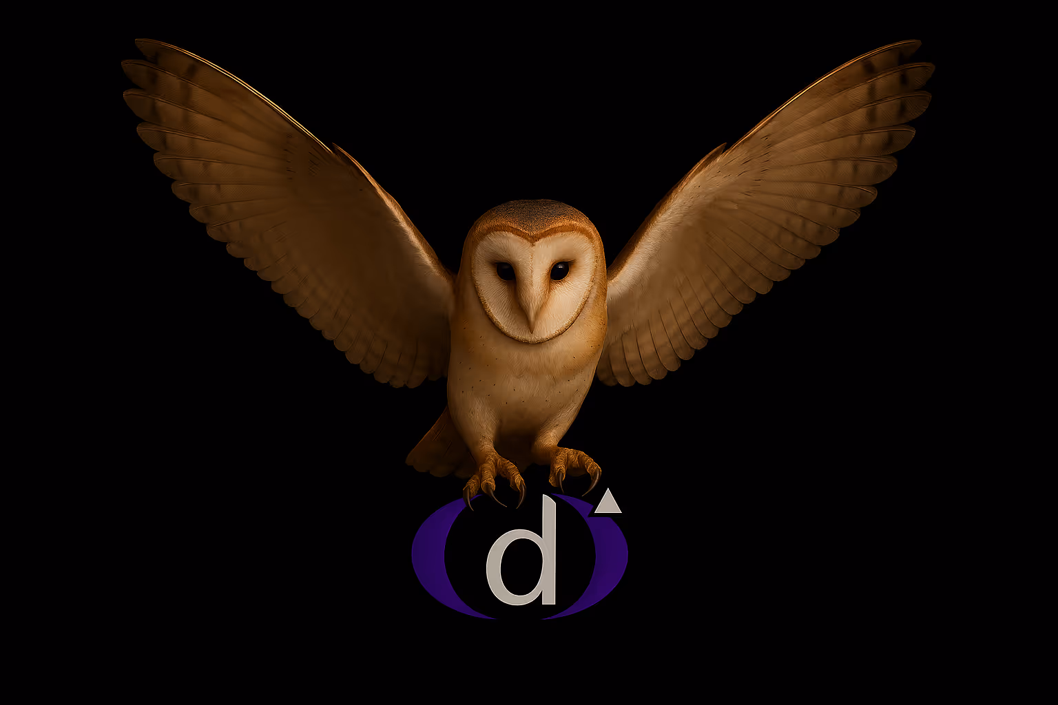 Barn owl with wings spread wide, appearing to hold the Designwise Automation logo beneath its talons, set against a black background.