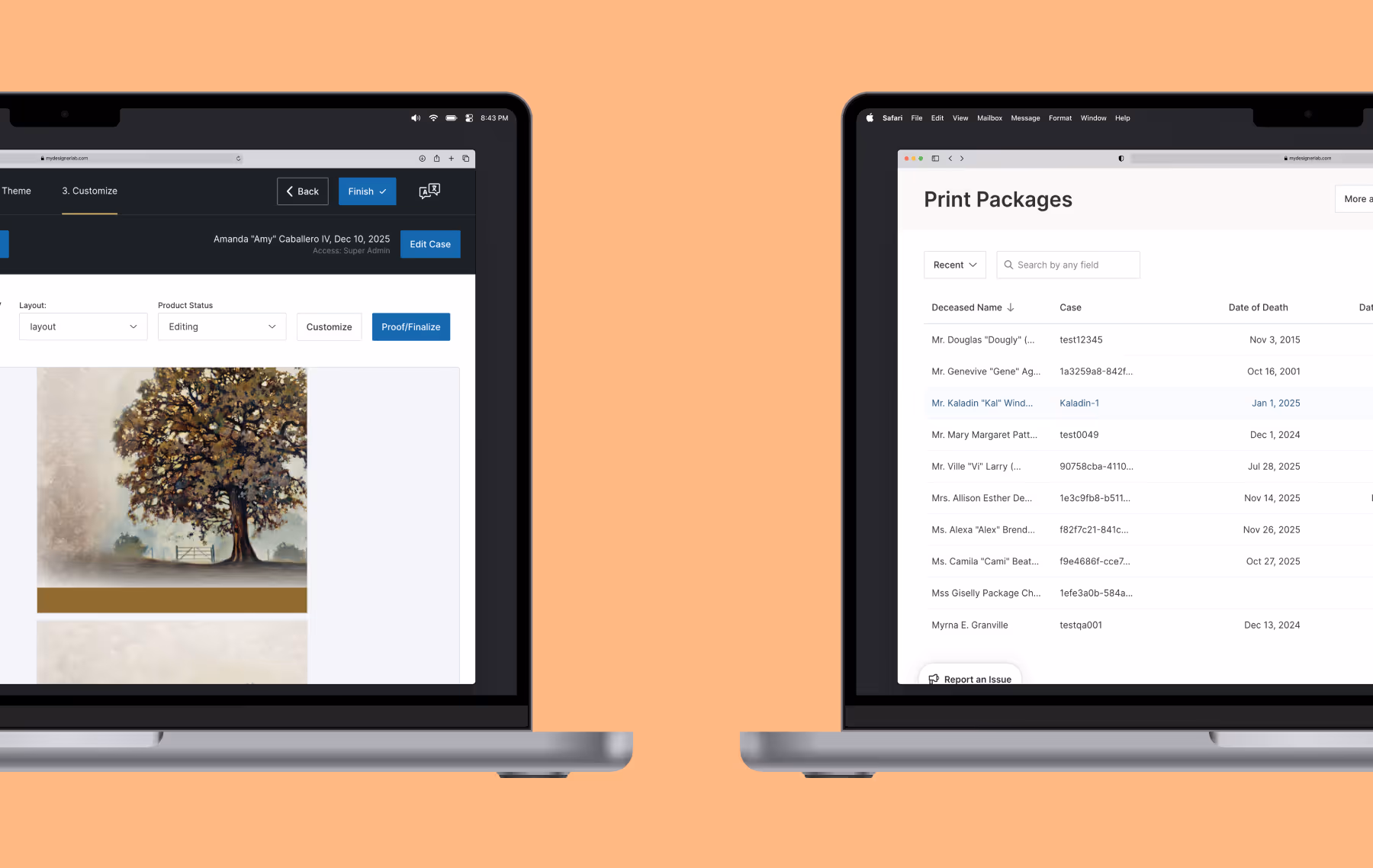 Two My Designer Lab screens - the main order management list view and the proof and finalize flow