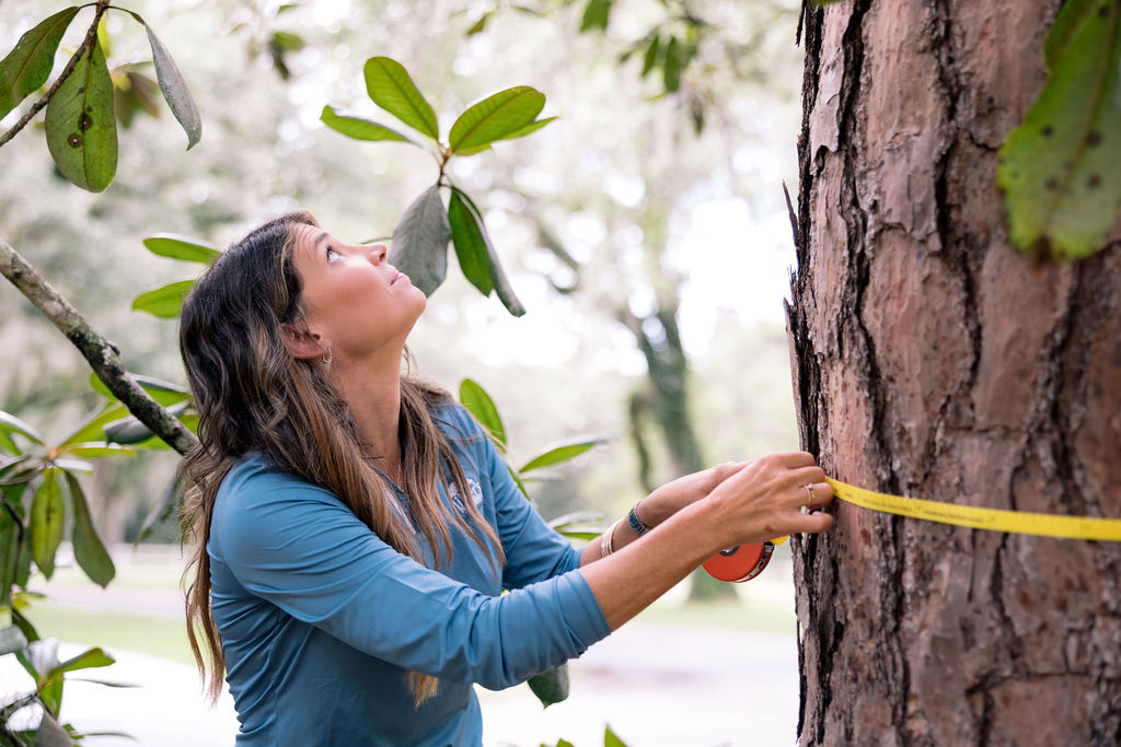 Tree Service Tallahassee, Florida | Miller's Tree Service
