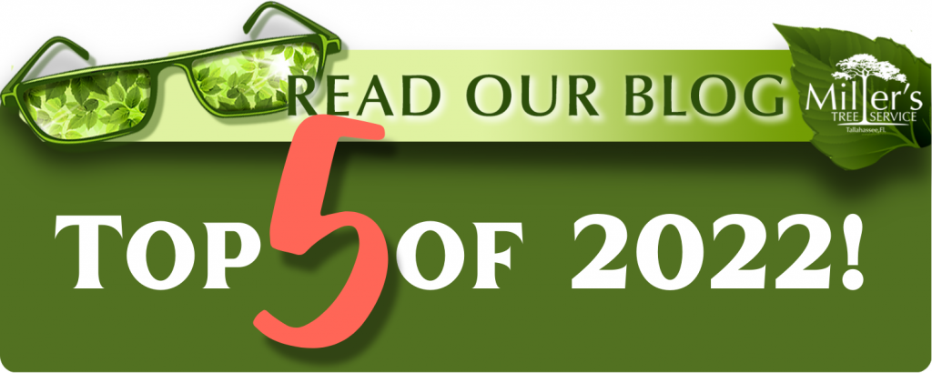 read our top five blogs of 2022