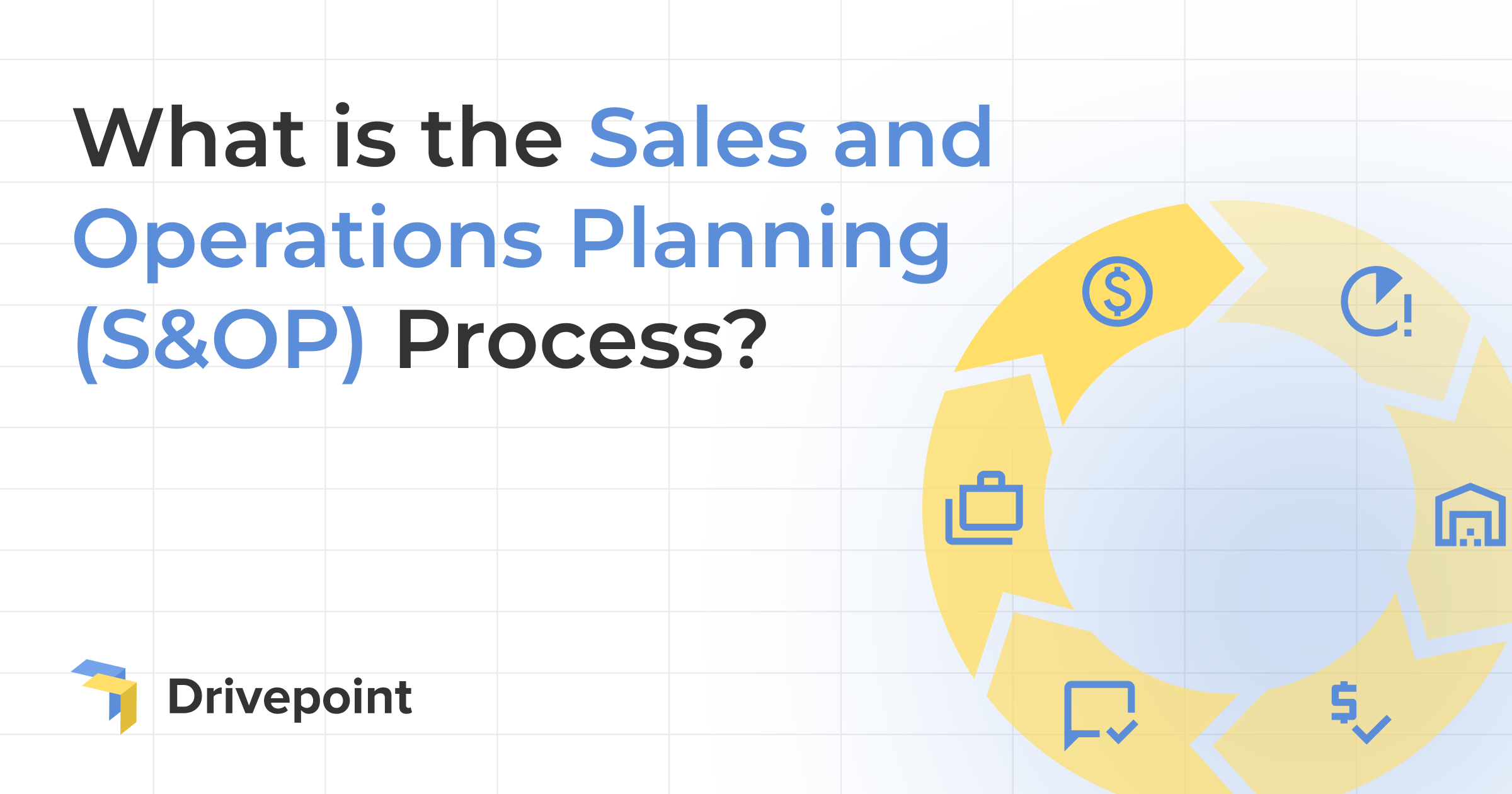 What is the Sales and Operations Planning (S&OP) Process?