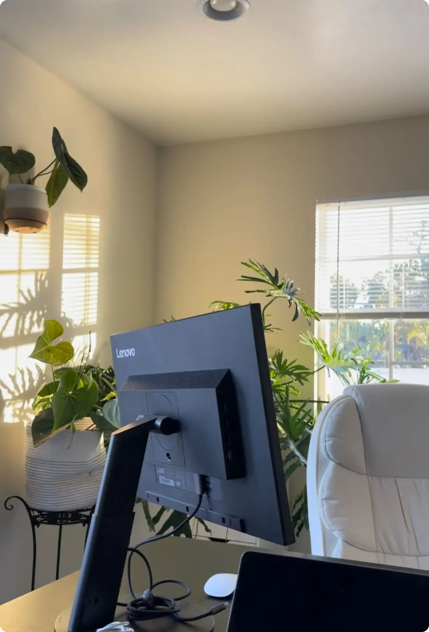 Home office setup with a Lenovo monitor on a desk, surrounded by green plants and a white leather chair near a window with blinds.