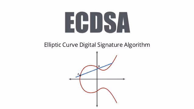 Diagrama de firmas de curva elíptica que ilustra los procesos criptográficos y los conceptos de seguridad digital.