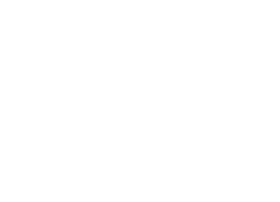 Elite Swim Logo