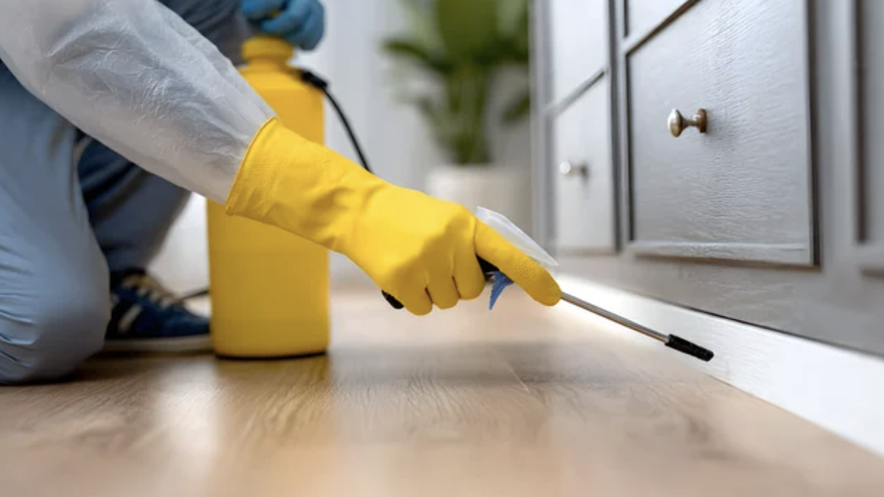 Pest control technician in protective gear treating baseboards inside a home.