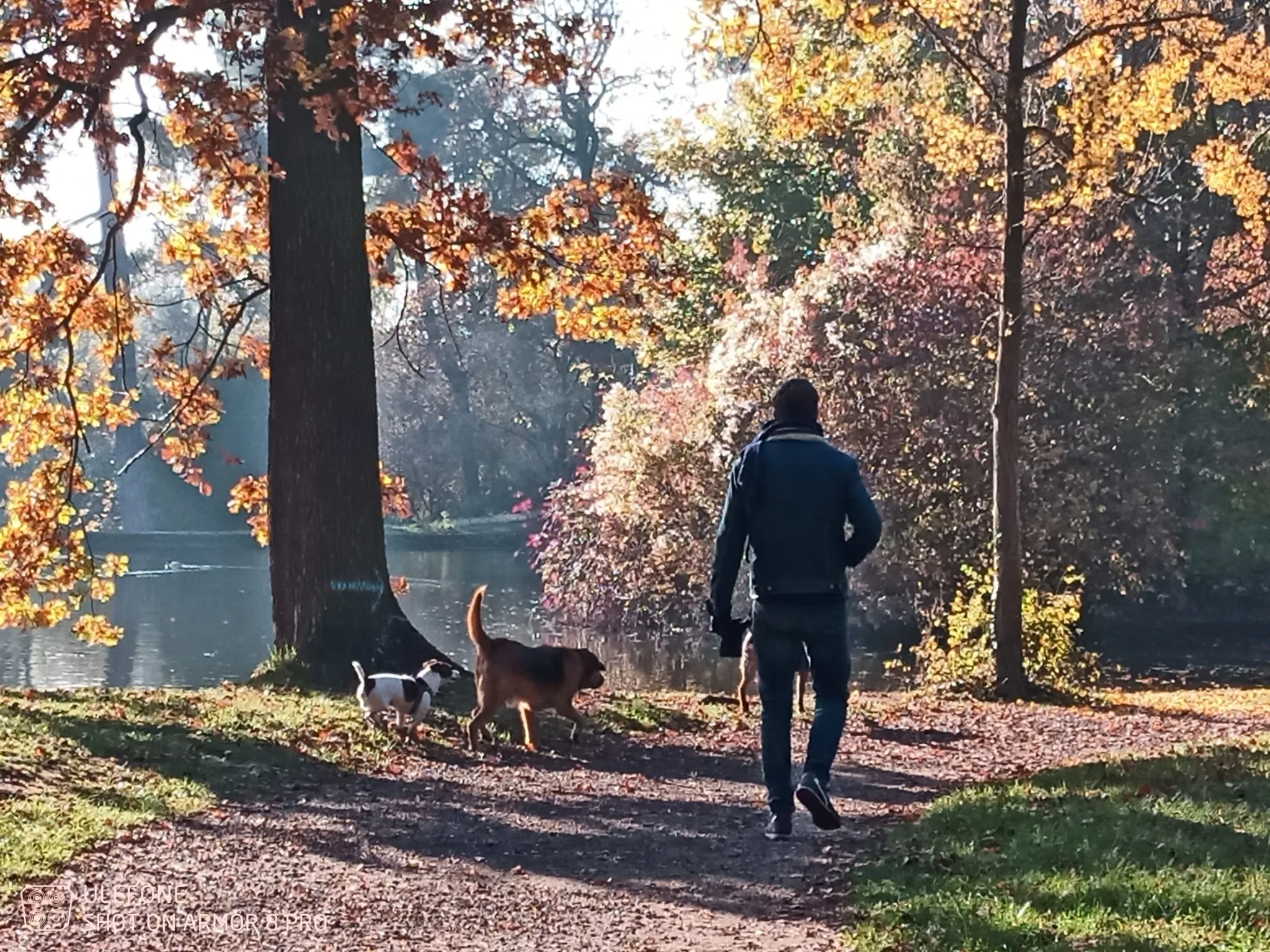 Balade au bois de Boulogne avec mon chien et un des ses ami.