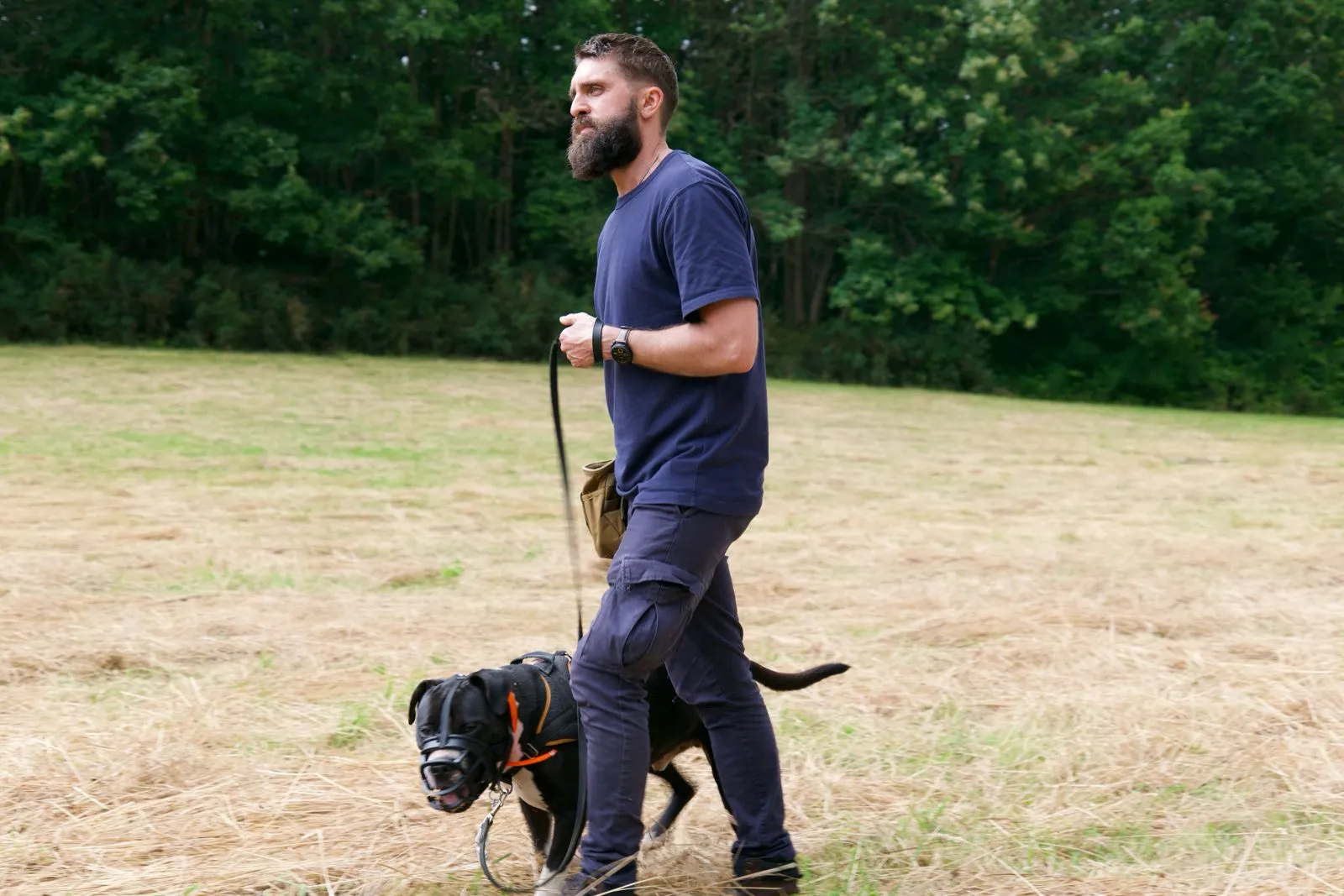 Intervention en refuge pour chien réactifs