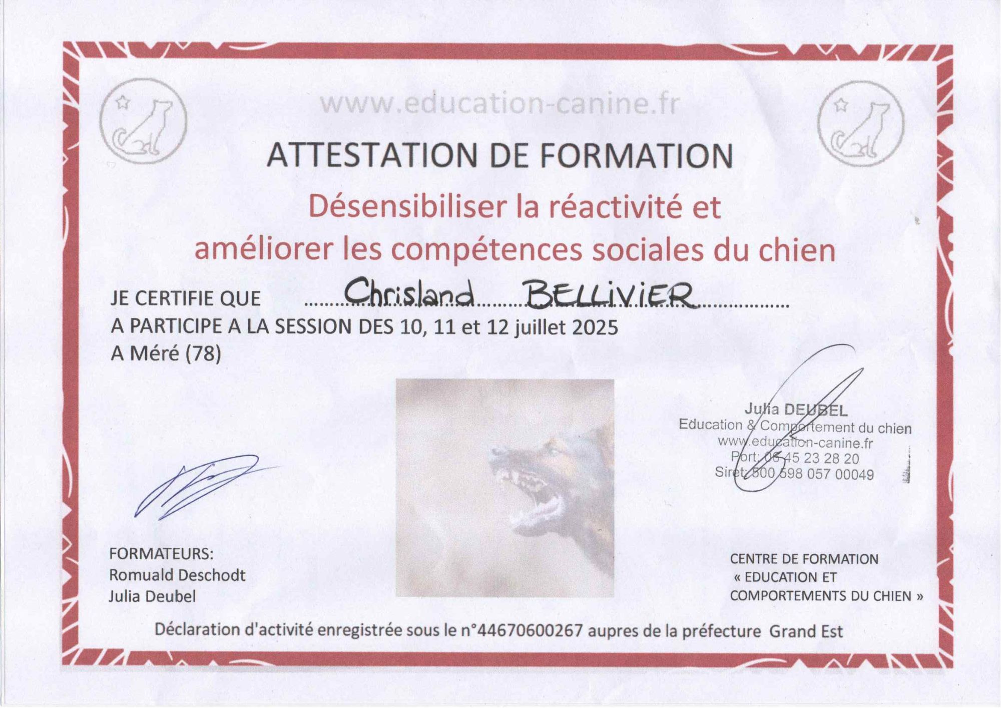 Attestation de formation réactivité auprès de Julia Deubel
