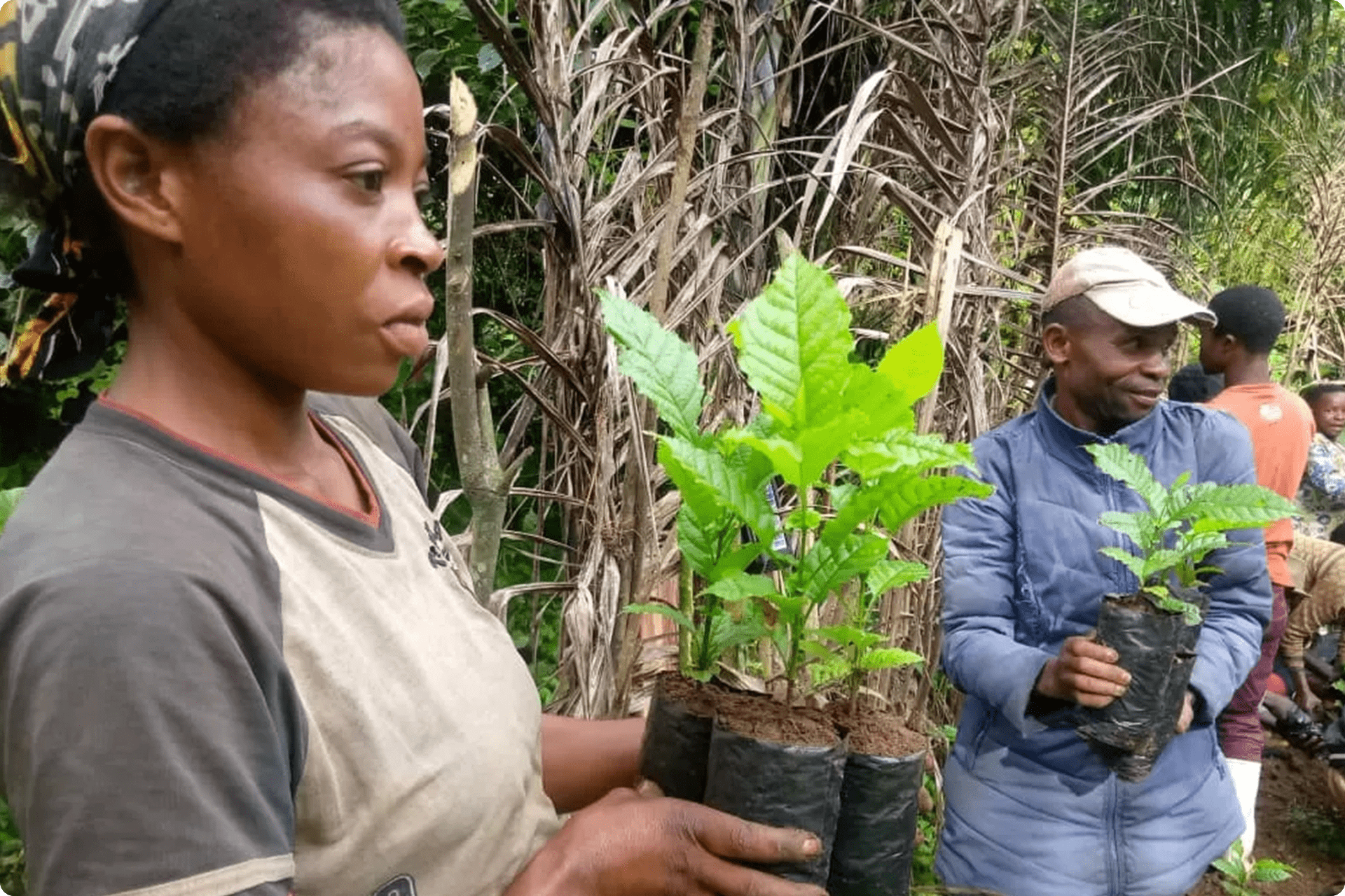 People holding plants for replanting initiative.