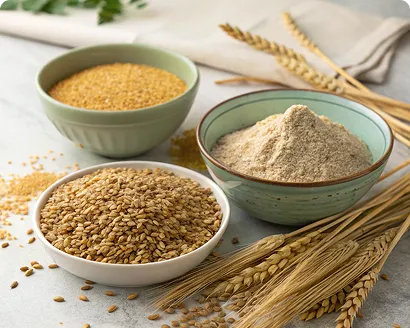 Three green ceramic bowls containing different grain products - yellow millet or corn, beige flour or powder, and brown lentils or small grains - arranged with wheat stalks, representing sustainable ingredient sources for MOA's fermentation processes