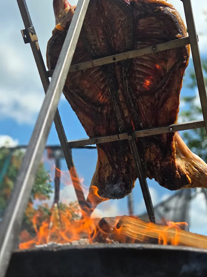 Whole lamb roasting on cross frame above open fire pit for catering