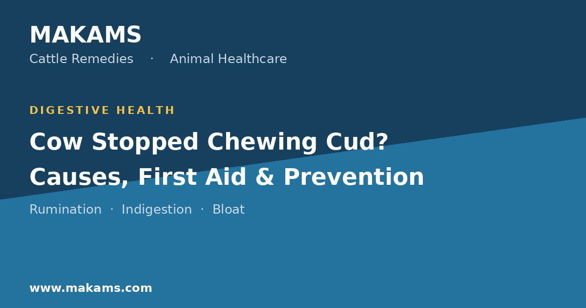 Why a cow stops chewing cud — rumination loss causes, first aid and prevention guide by Cattle Remedies (MAKAMS)