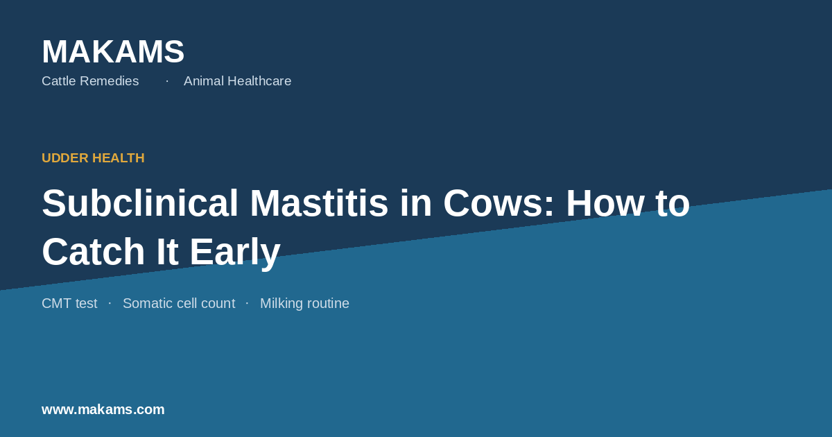 Cattle Remedies guide to detecting subclinical mastitis in dairy cows early using the CMT test and somatic cell count