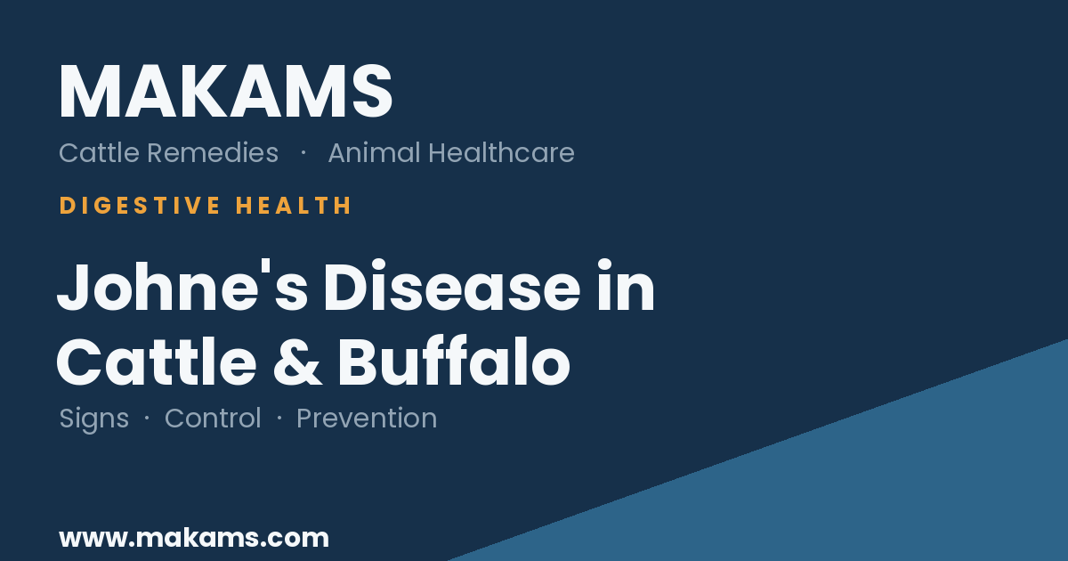 MAKAMS Cattle Remedies guide to Johne's disease (paratuberculosis) in cattle and buffalo
