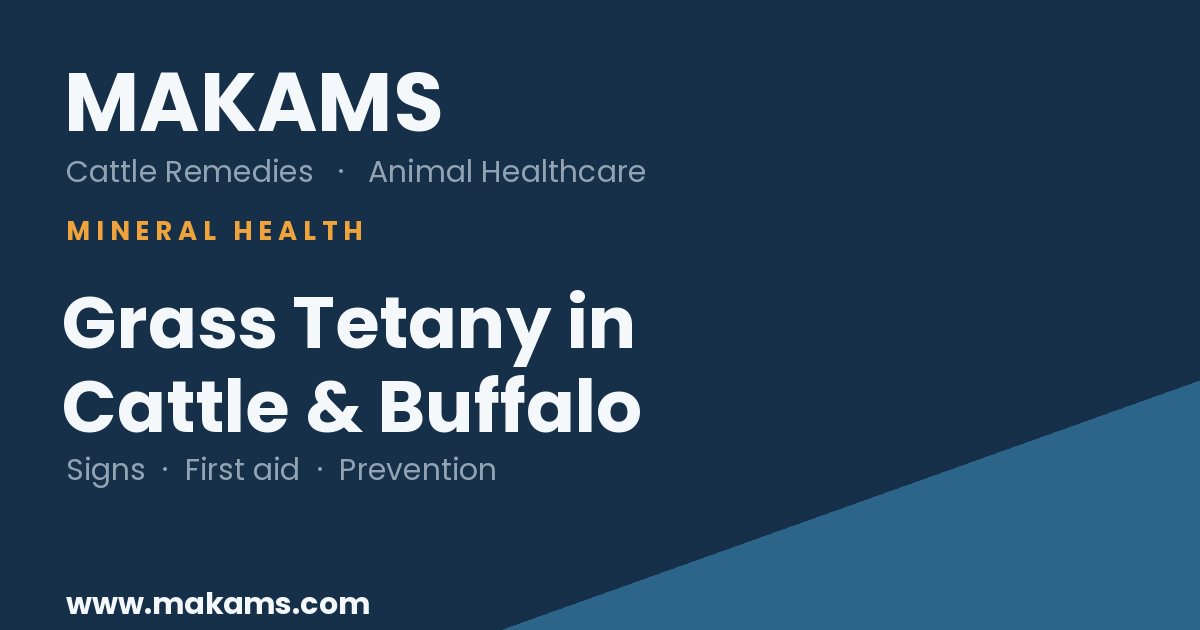 MAKAMS Cattle Remedies guide to grass tetany (hypomagnesaemia) in cattle and buffalo