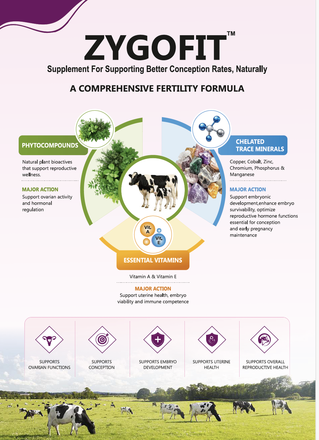 Zygofit Bolus