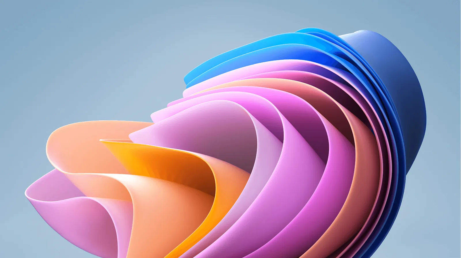 3.webp