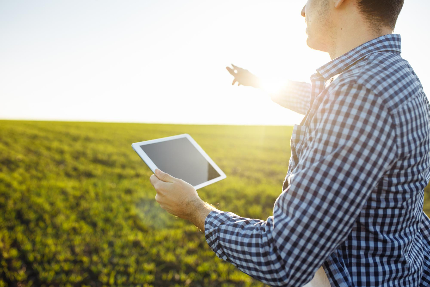 Homem utilizando um tablet em uma área agrícola durante o pôr do sol, monitorando dados da lavoura por meio de tecnologias digitais. A imagem representa agricultura de precisão, agronegócio, monitoramento remoto de cultivos, gestão agrícola inteligente, transformação digital no campo e uso de soluções tecnológicas para aumento da produtividade rural.