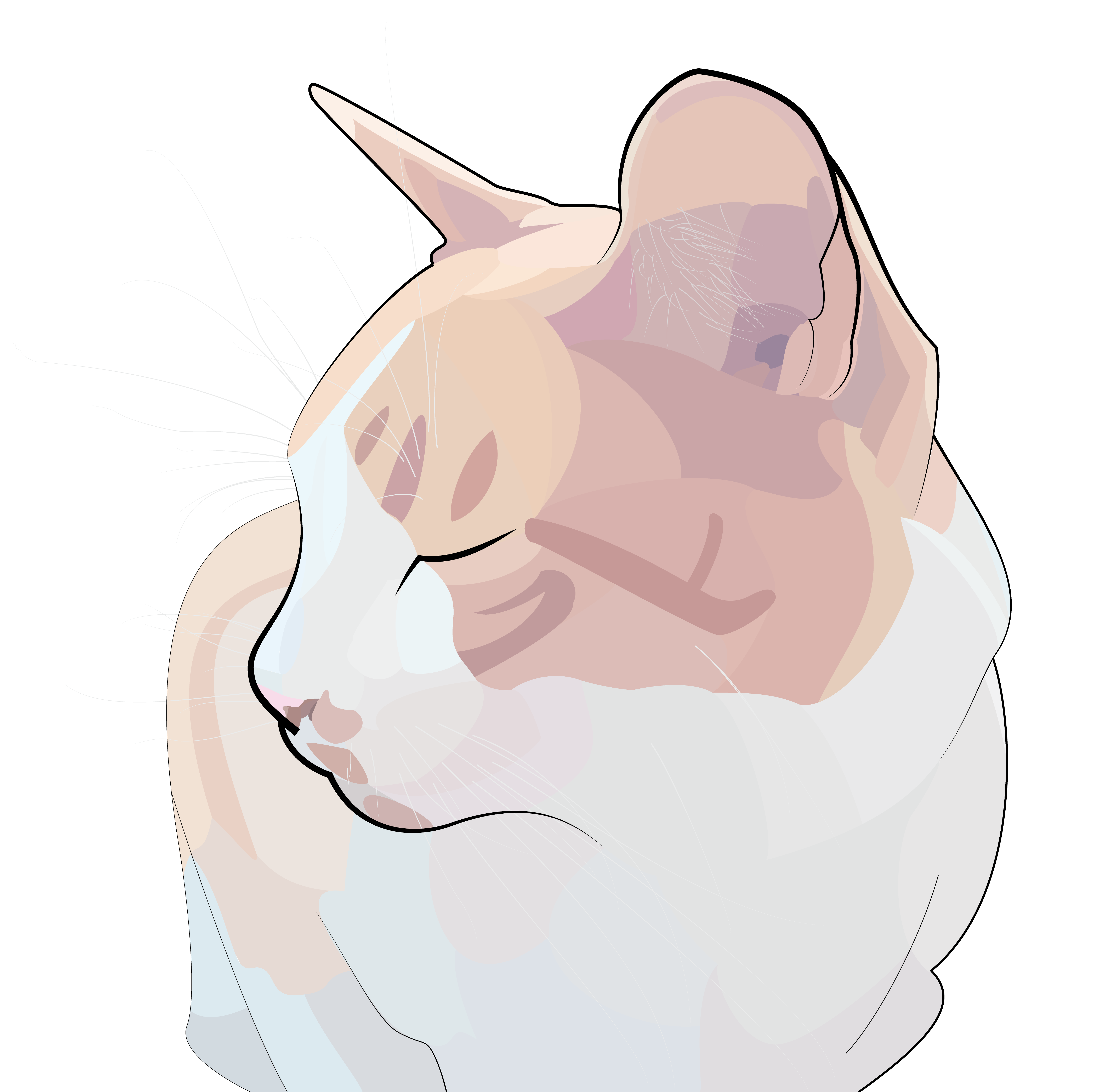 Vector art of an orange a white cat in a loaf position, looking off to the left with his eyes closed. Delicate black outlines are thicker in the foreground, creating a sense of depth.