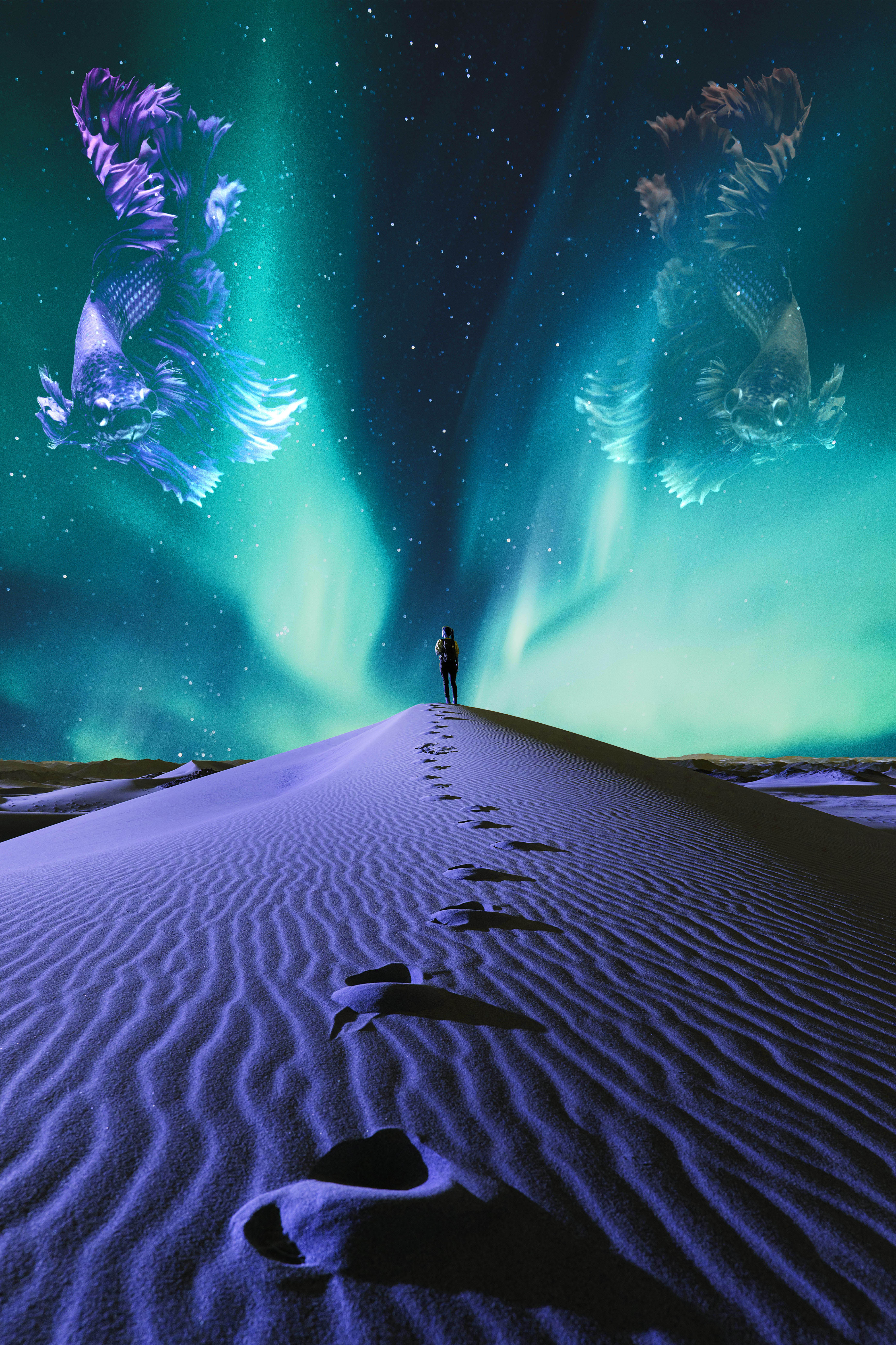 Juxtaposition of a desert ground an an aurora in the sky. The desert has purple sand and footprints leading to a woman at the center. The aurora is green and forms leading lines to the center as well. On either side of the sky are surreal, transparent fish.