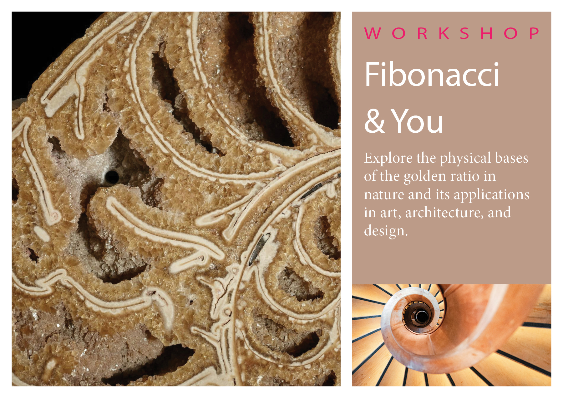 A postcard for a workshop called "Fibonacci and You." A spiral staircase in the bottom right leads the eye to a spiral fossilized nautilus on the left.