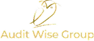 Audit Wise Group