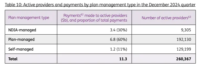 Infographic titled Active Providers and Payments by Plan Management Type (December 2024 Quarter) Explains how NDIS payments and providers are distributed across management types.
