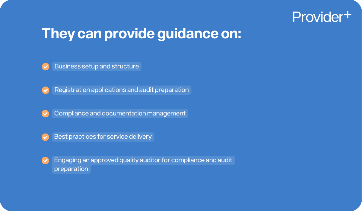 Provider Plus infographic outlining the areas where an NDIS consultant can provide guidance. It lists business setup and structure, registration applications and audit preparation, compliance and documentation management, best practices for service delivery, and engaging an approved quality auditor for compliance and audit preparation.