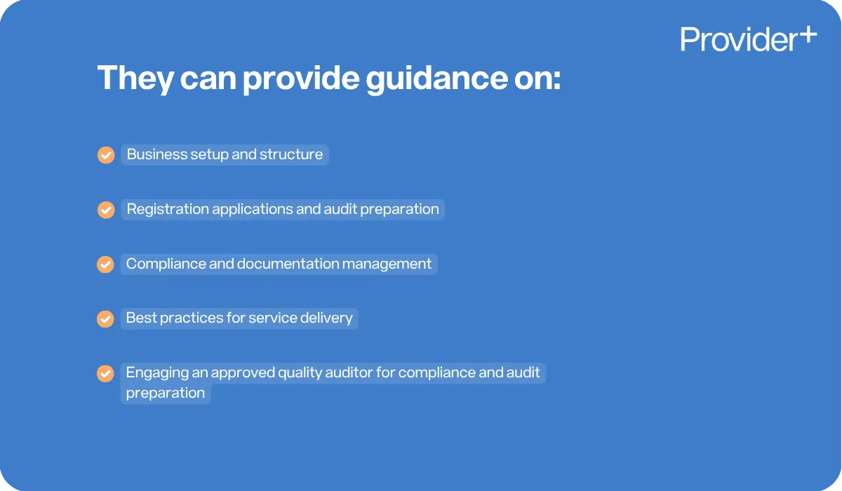 Provider Plus infographic outlining the areas where an NDIS consultant can provide guidance. It lists business setup and structure, registration applications and audit preparation, compliance and documentation management, best practices for service delivery, and engaging an approved quality auditor for compliance and audit preparation.