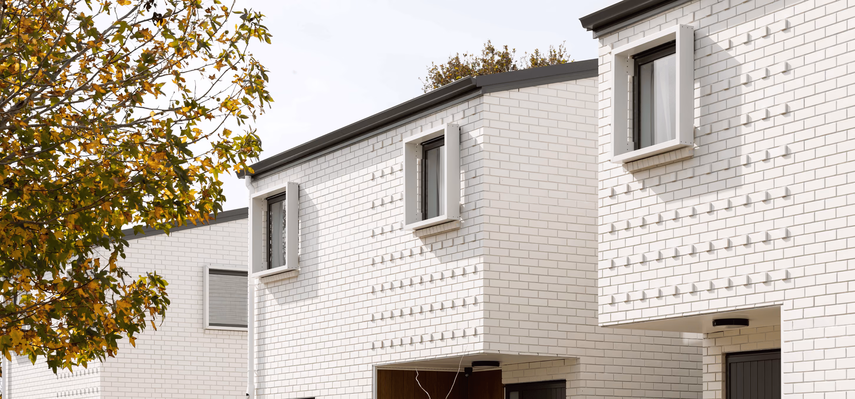 Row of modern white brick townhouses with rectangular windows and dark gray doors, partially obscured by a tree with yellow-green leaves in the foreground.